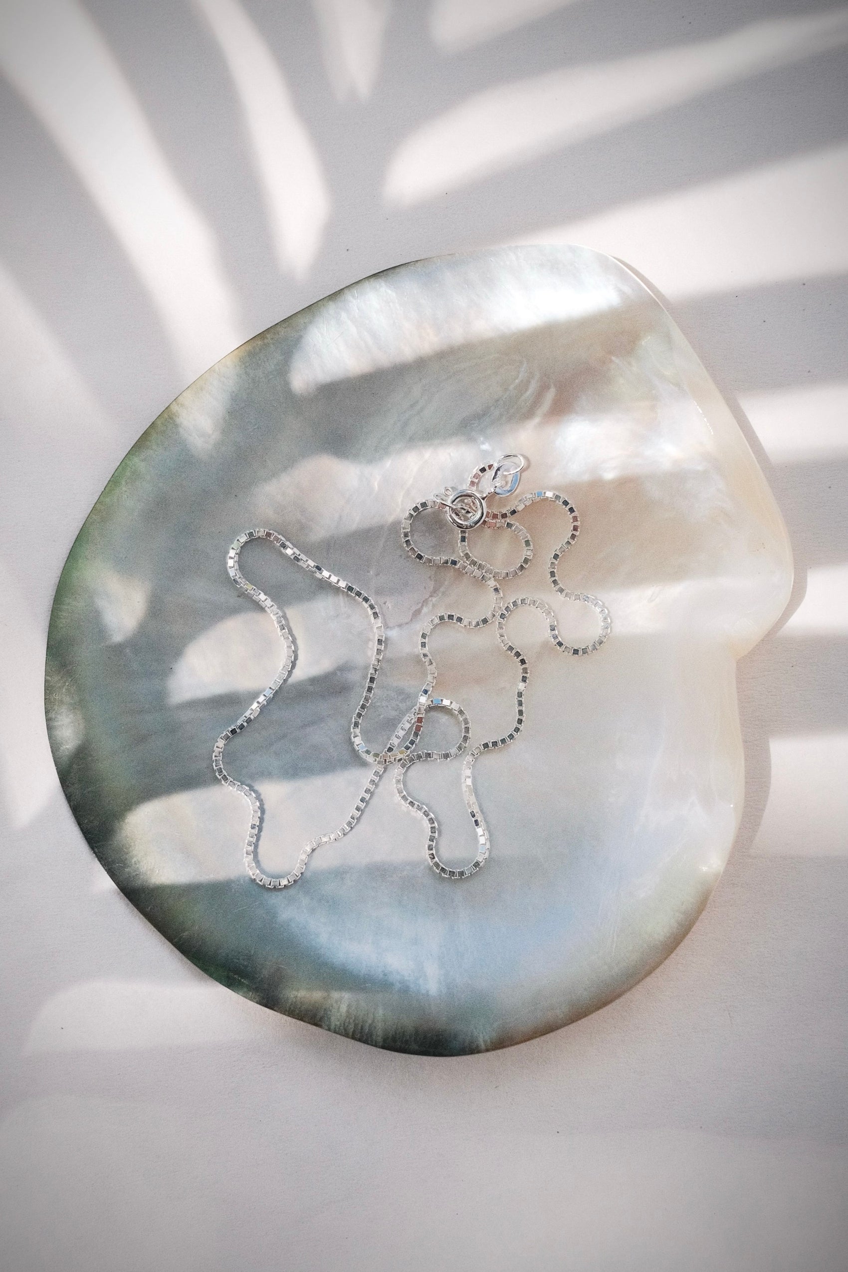 Basic Silver Box Chain Necklace - Iolani