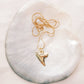 Gold Shark Tooth Necklace - Mano