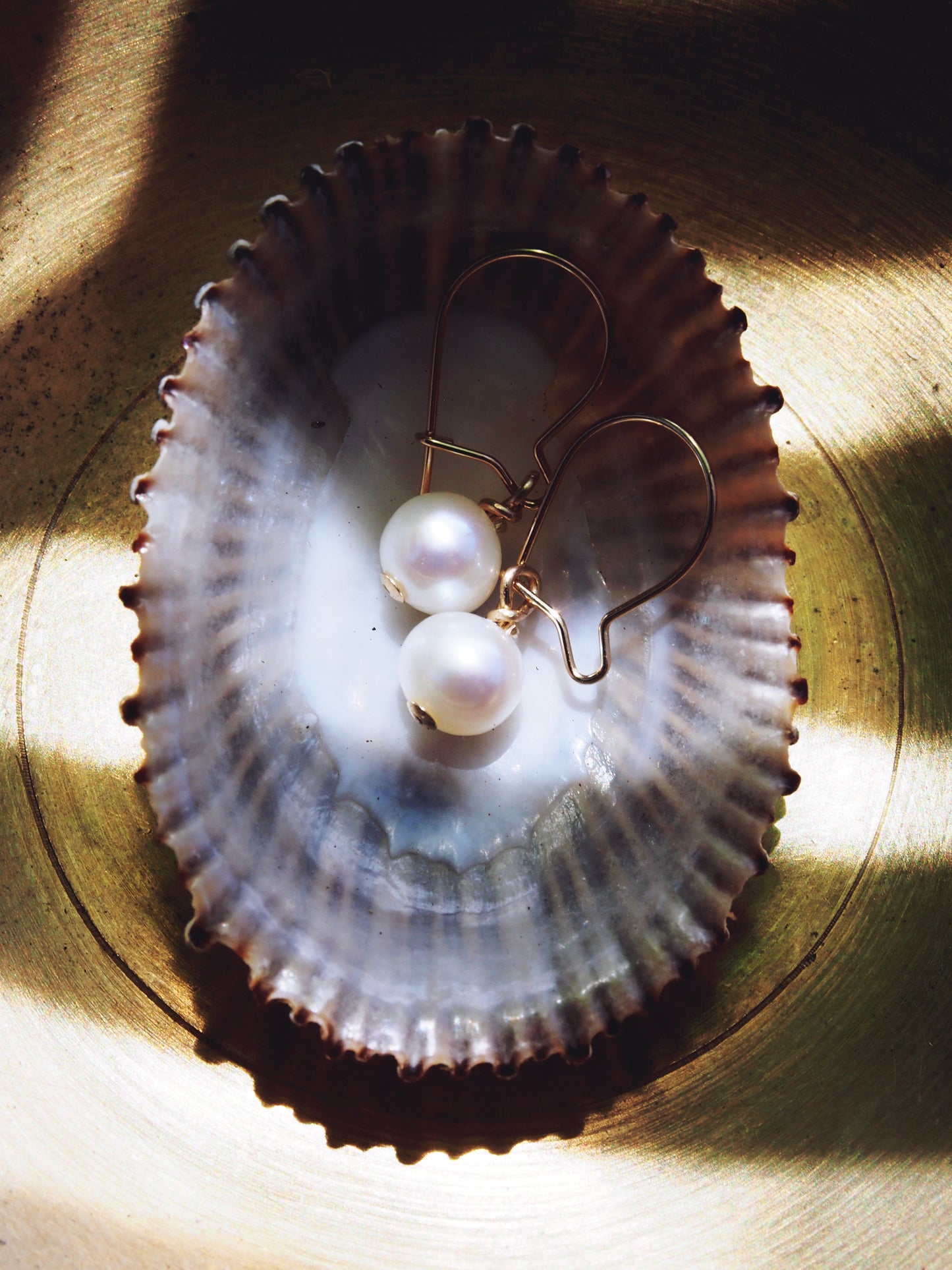 Tiny White Freshwater Pearl Drop Earrings - Gold Ipo