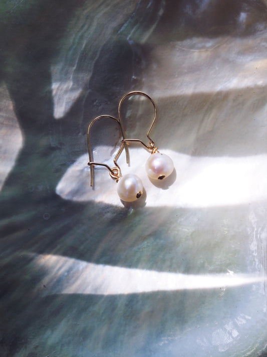 Tiny White Freshwater Pearl Drop Earrings - Gold Ipo