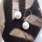 White Freshwater Pearl Drop Earrings - Gold Haukea