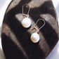 White Freshwater Pearl Drop Earrings - Gold Haukea
