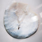 Petite Silver Shark Tooth Necklace - Mano Petite