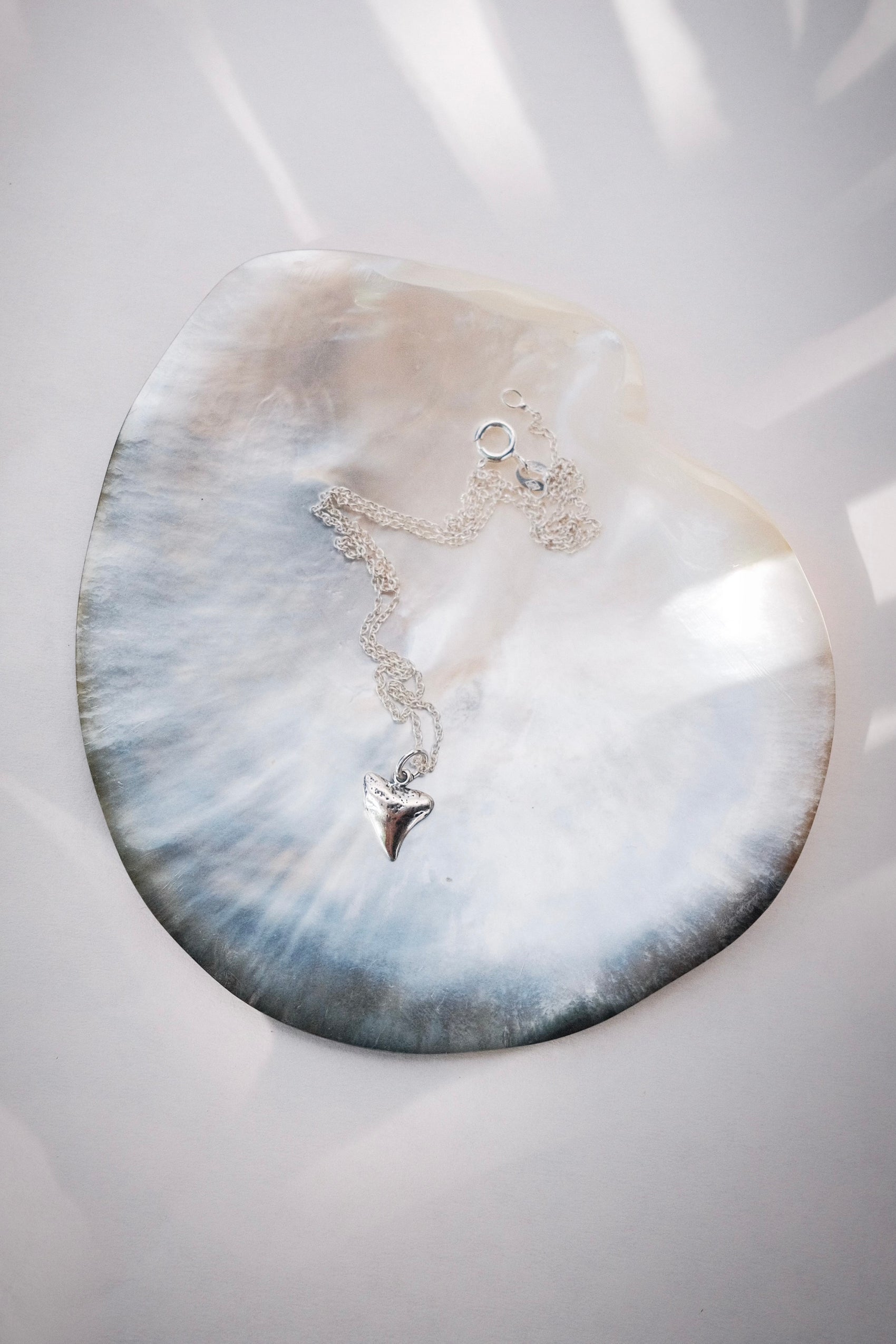 Petite Silver Shark Tooth Necklace - Mano Petite
