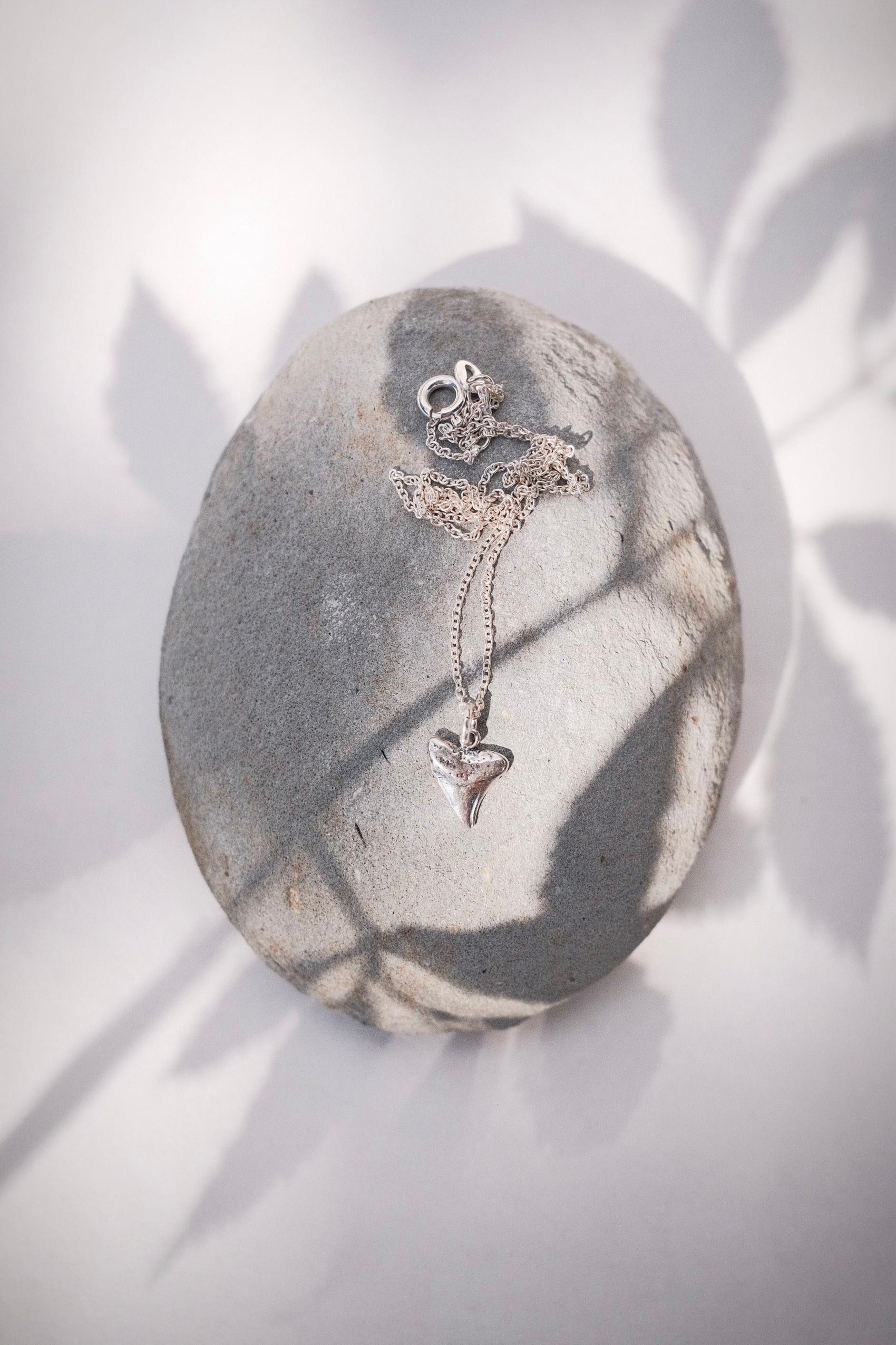 Petite Silver Shark Tooth Necklace - Mano Petite