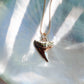 Gold Shark Tooth Necklace - Mano