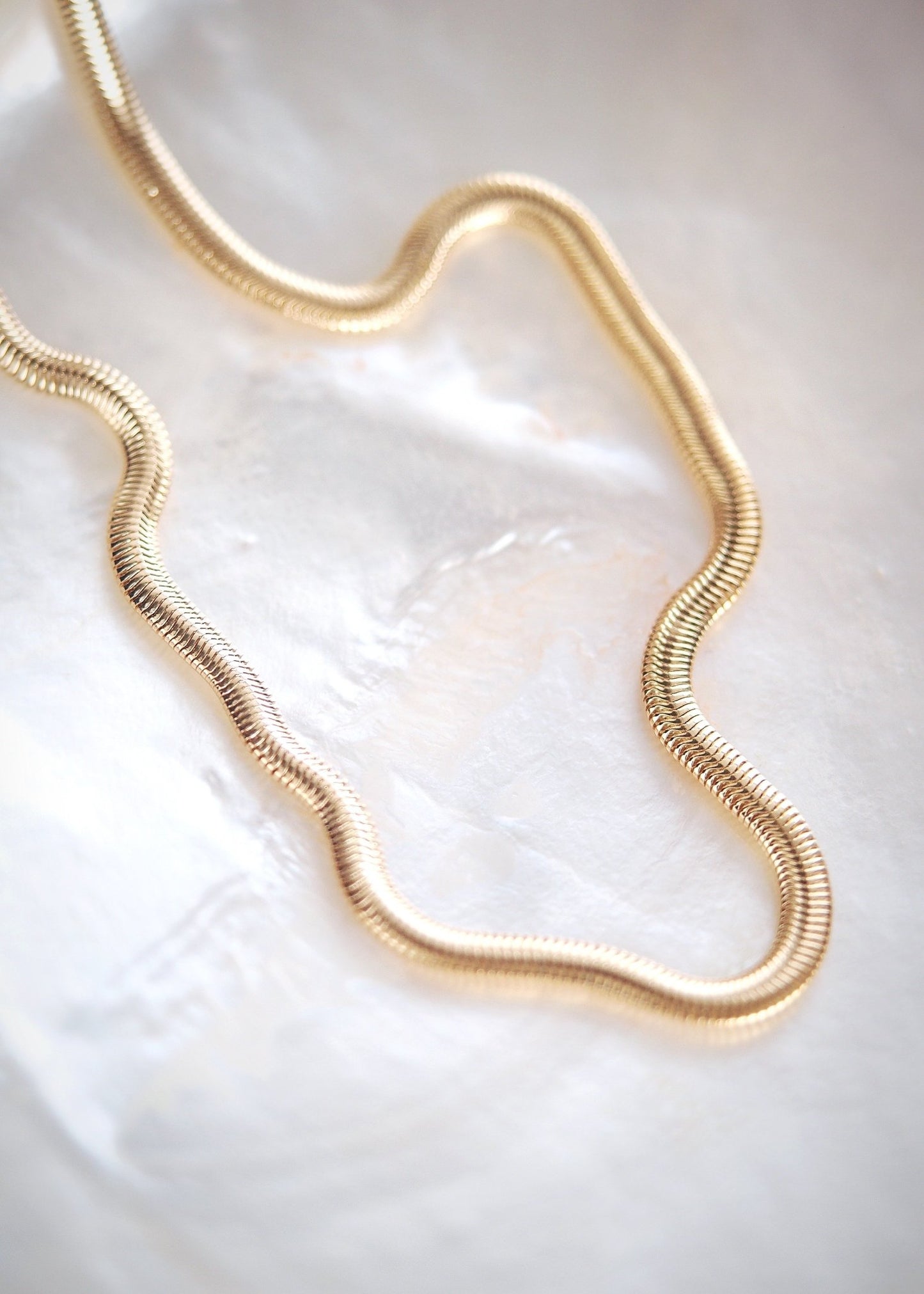 18kt Gold Filled Thick Flat Snake Chain Necklace - Nui