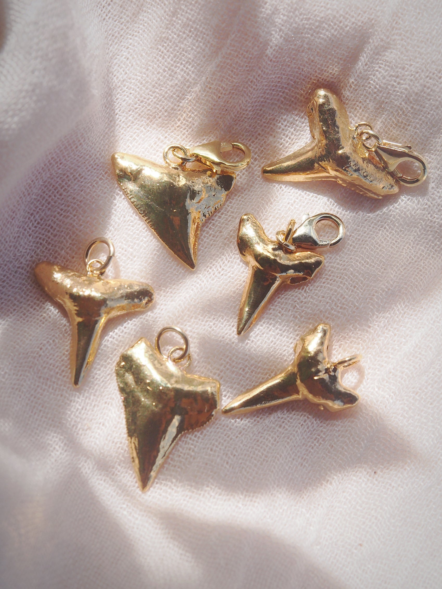 Gold Plated Shark Tooth Charm