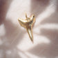 Gold Plated Shark Tooth Charm