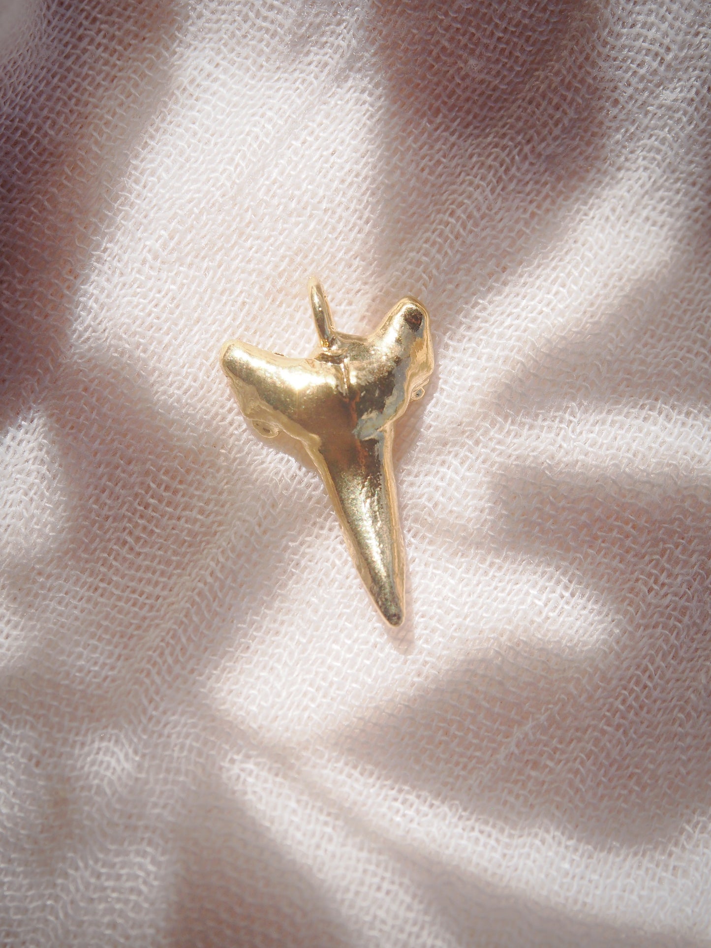 Gold Plated Shark Tooth Charm