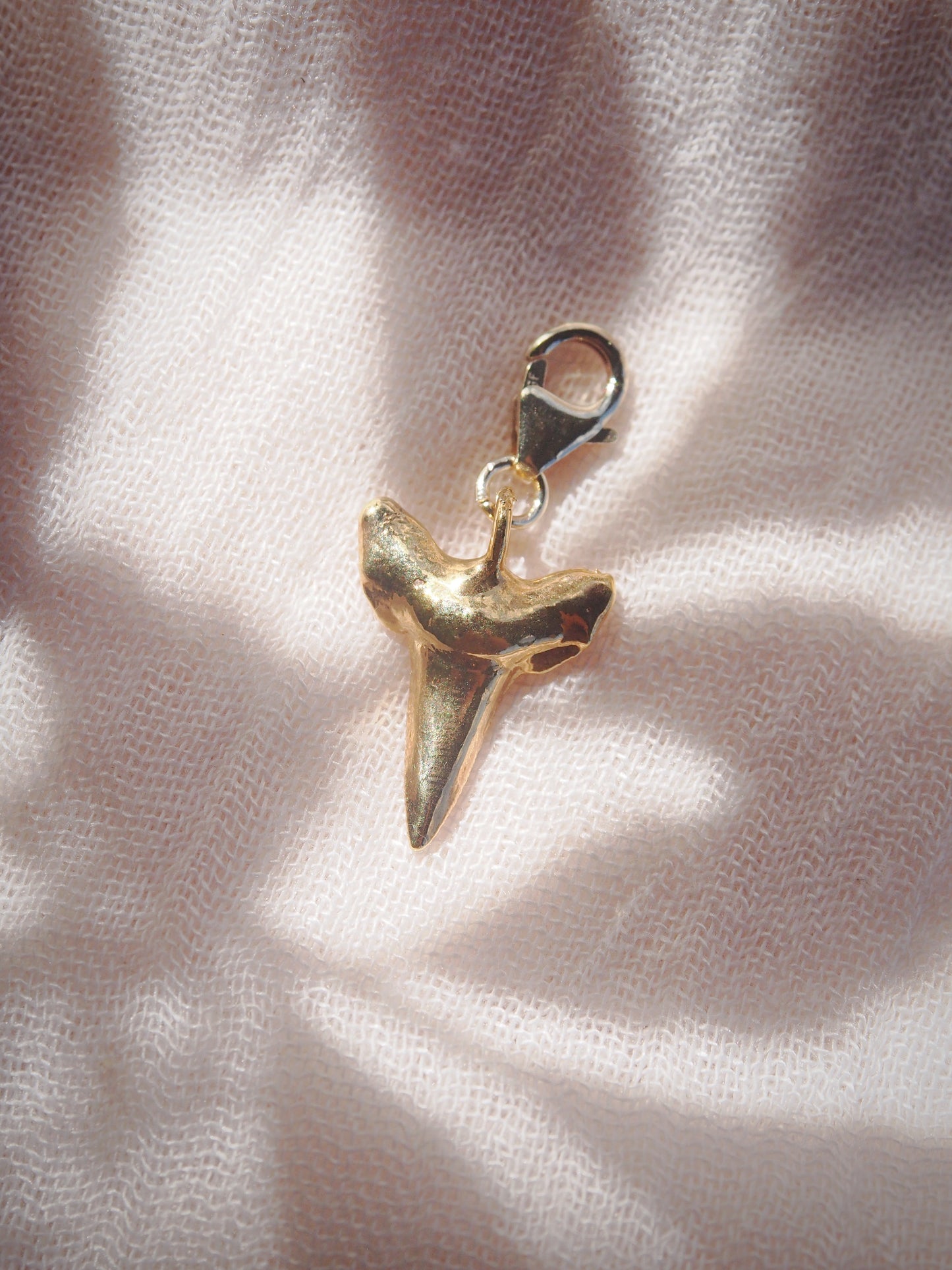 Gold Plated Shark Tooth Charm