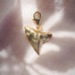 Gold Plated Shark Tooth Charm