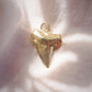 Gold Plated Shark Tooth Charm