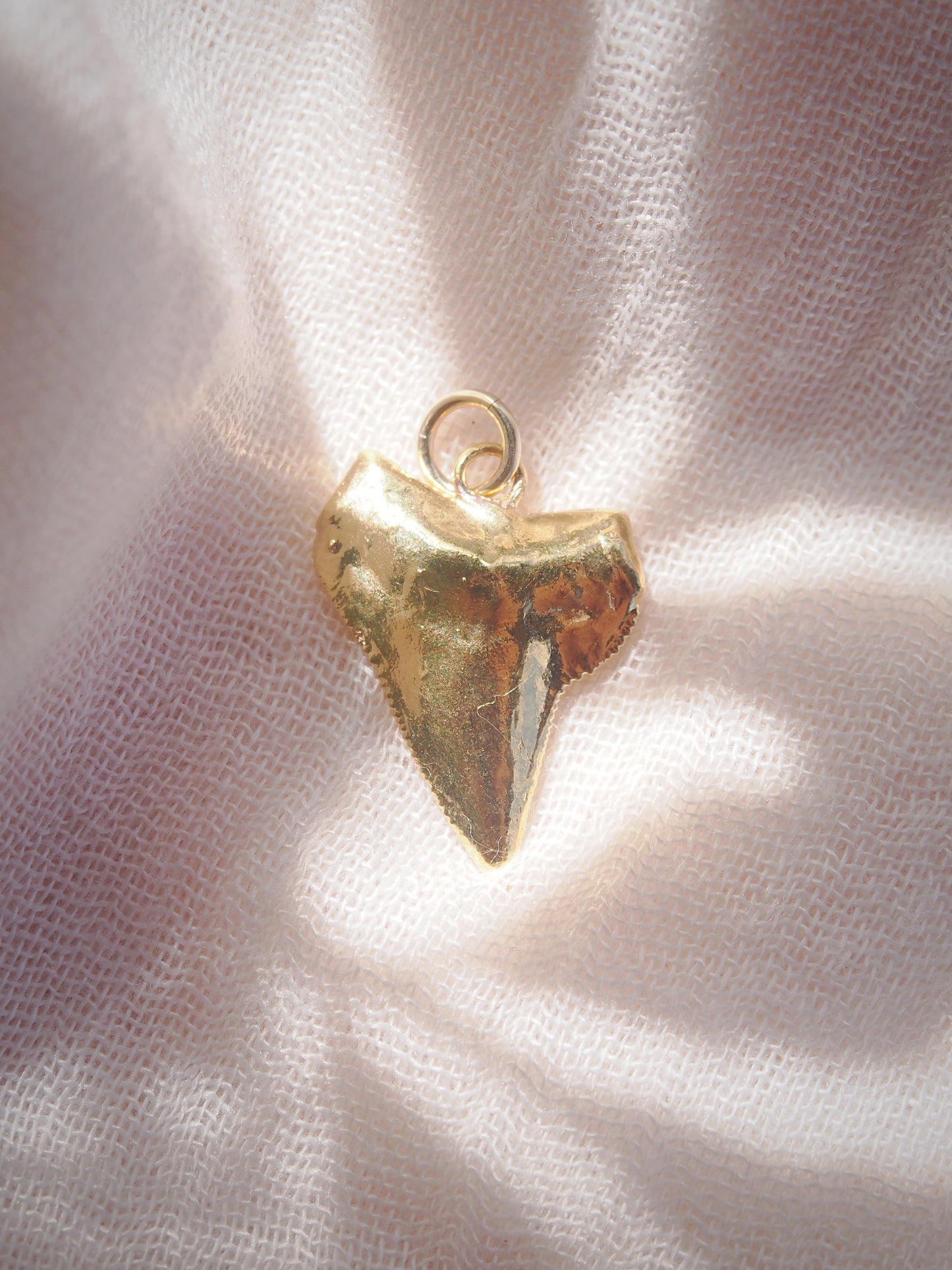 Gold Plated Shark Tooth Charm
