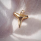 Gold Plated Shark Tooth Charm