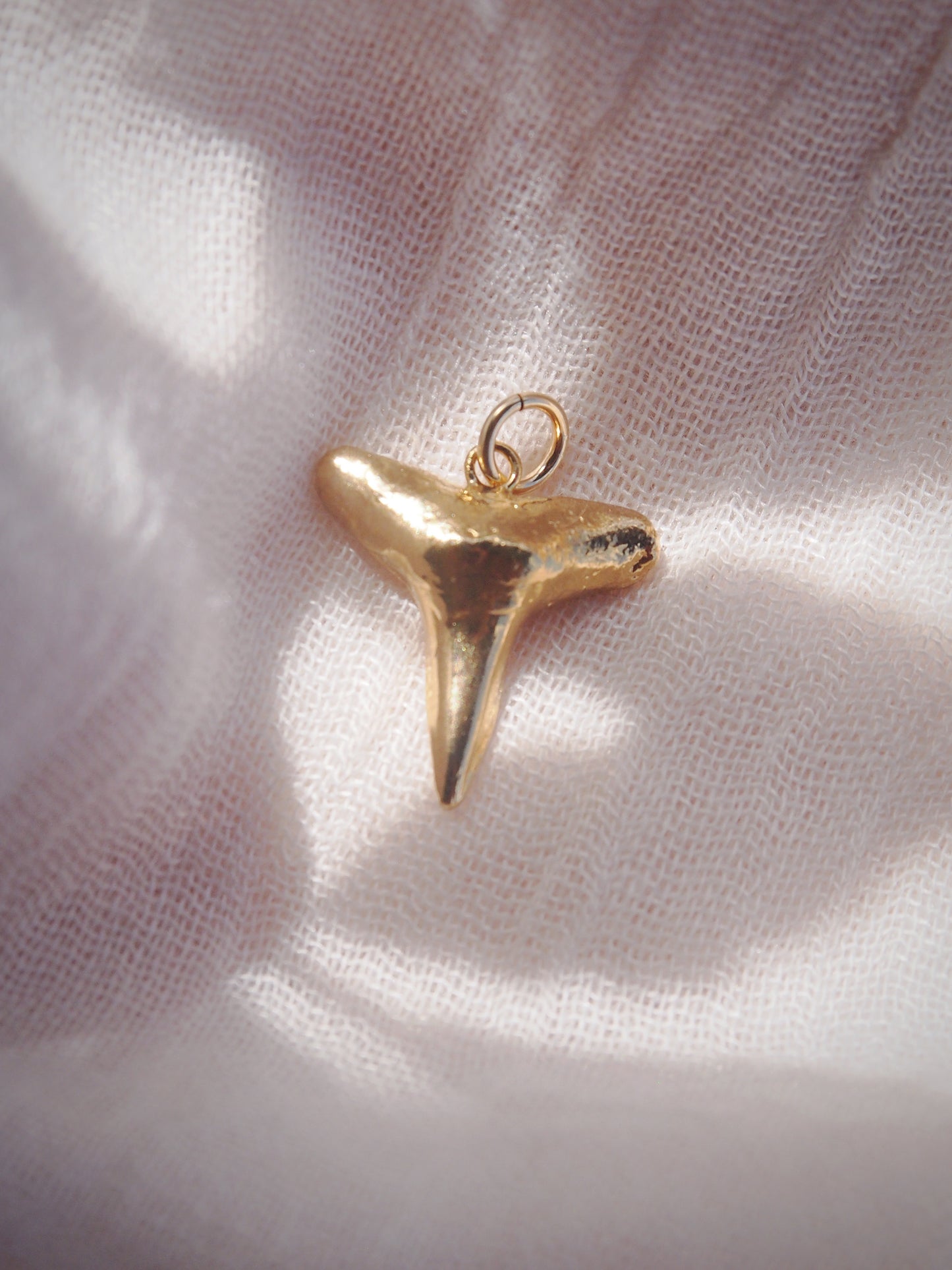 Gold Plated Shark Tooth Charm