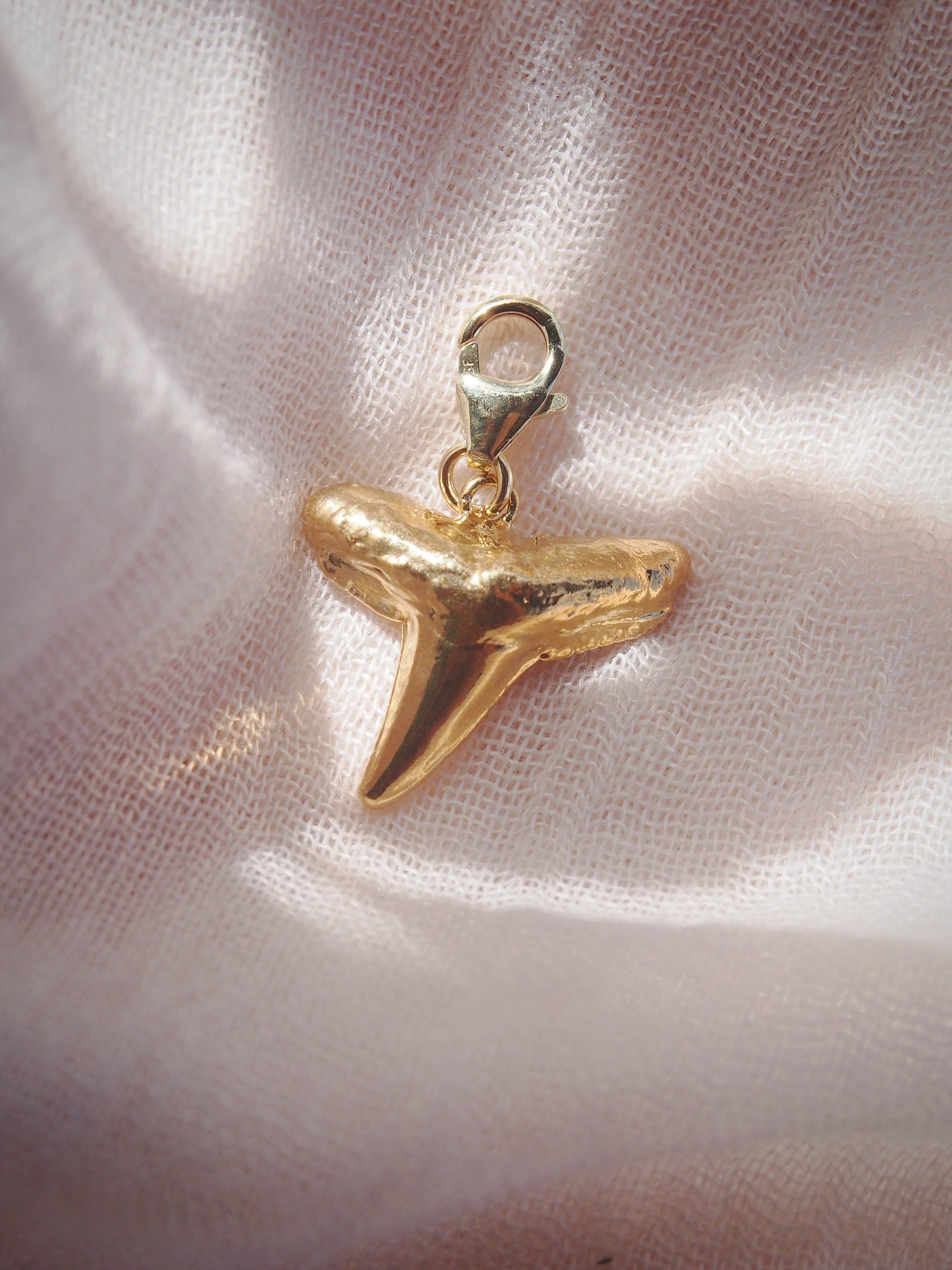 Gold Plated Shark Tooth Charm