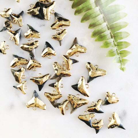 Black Gold Dipped Shark Tooth Necklace - Mano Niho Kahi Black - Ke Aloha Jewelry