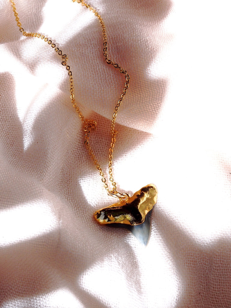 White Shark Tooth Necklace With Black Beads – Real Shark Tooth Necklaces