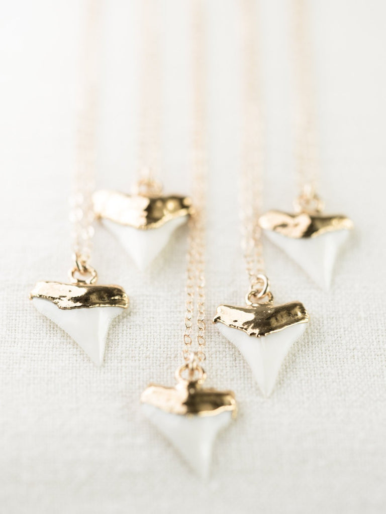 Gold Dipped White Shark Tooth Necklace - Mano Niho Kahi - Ke Aloha Jewelry