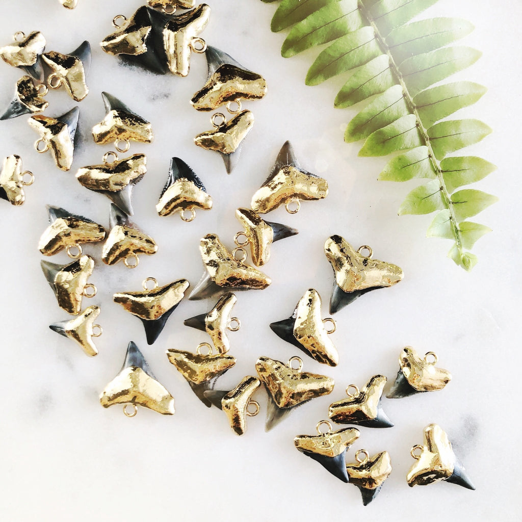 Gold Necklace - Gold Shark Tooth Necklace - Bottled Mano Niho Kahi Black - Ke Aloha Jewelry