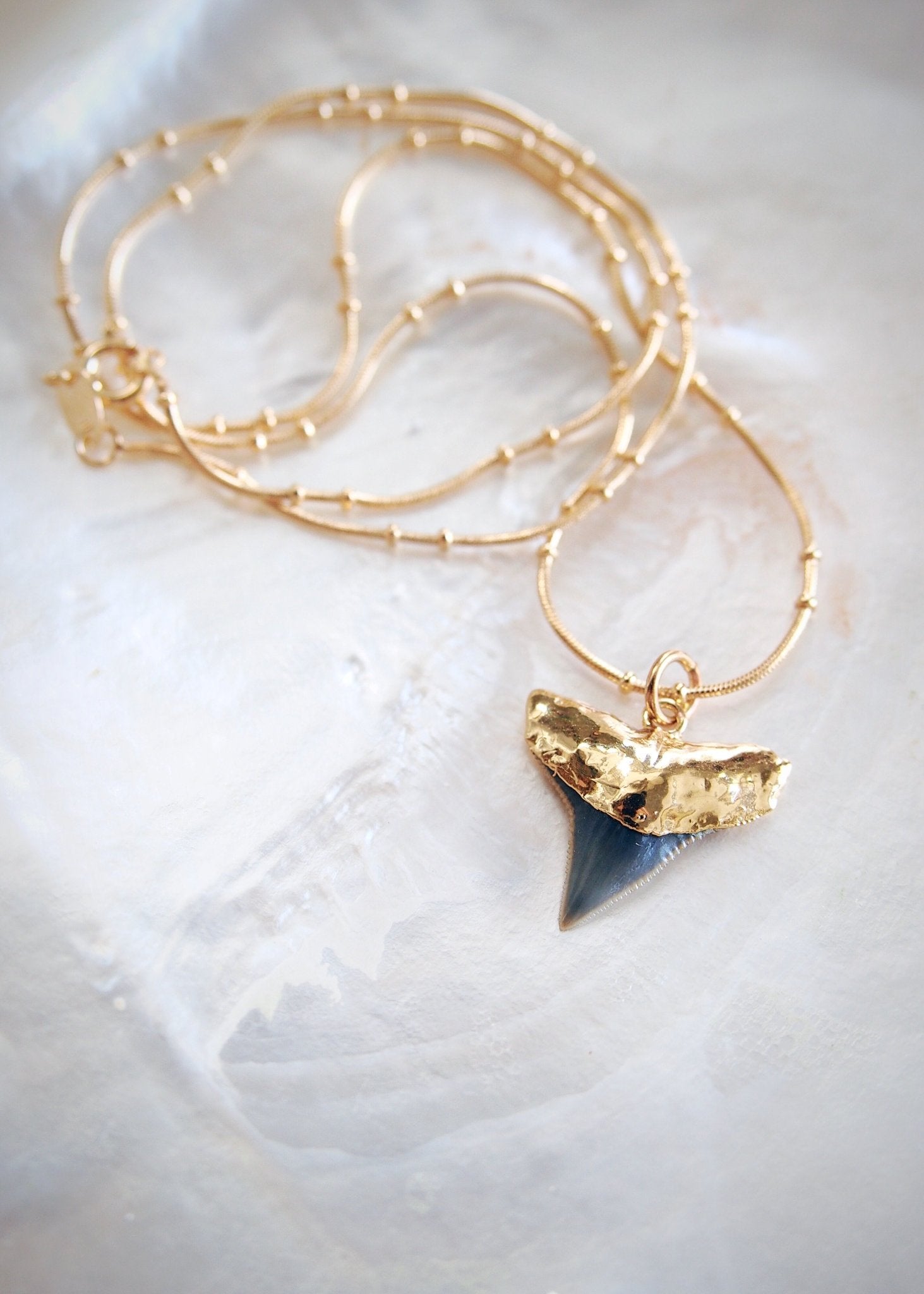 Gold Shark Tooth Necklace on Twin Dot Gold Snake Chain - Mano Niho Kahi Black II
