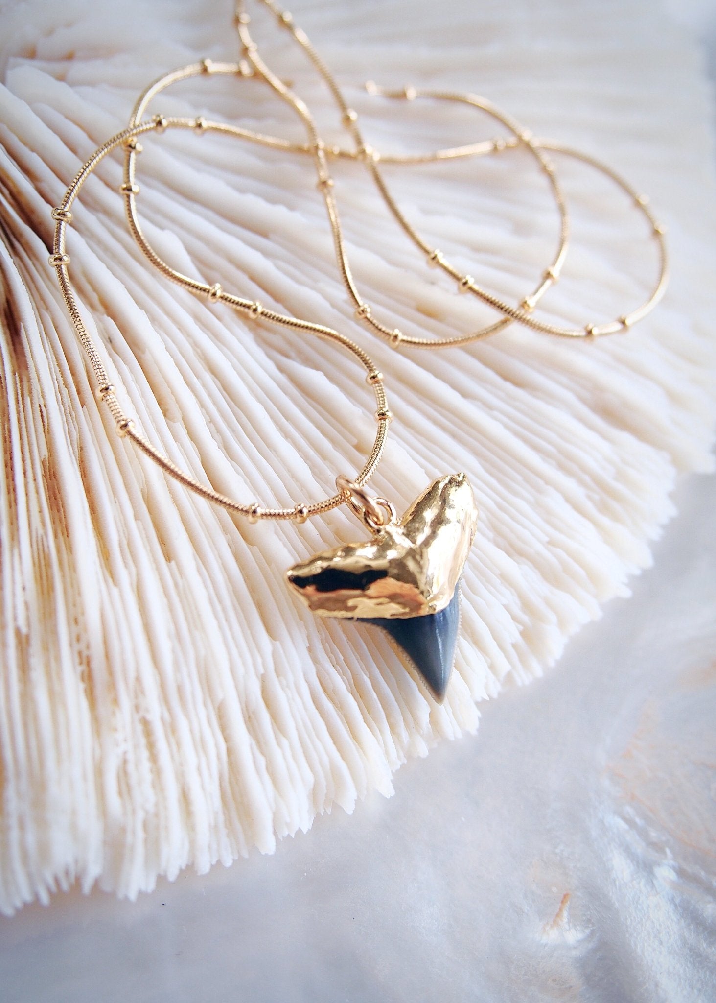 Gold Shark Tooth Necklace on Twin Dot Gold Snake Chain - Mano Niho Kahi Black II