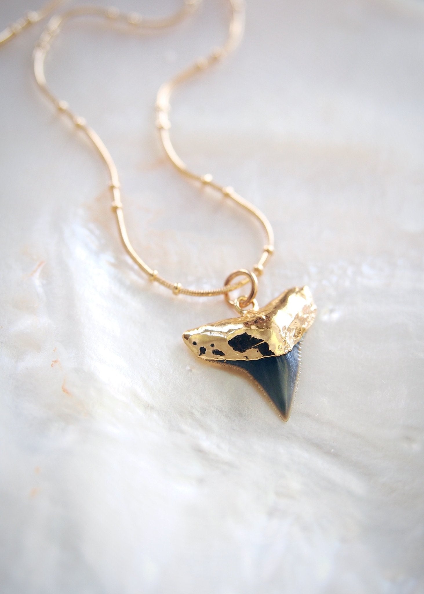 Gold Shark Tooth Necklace on Twin Dot Gold Snake Chain - Mano Niho Kahi Black II