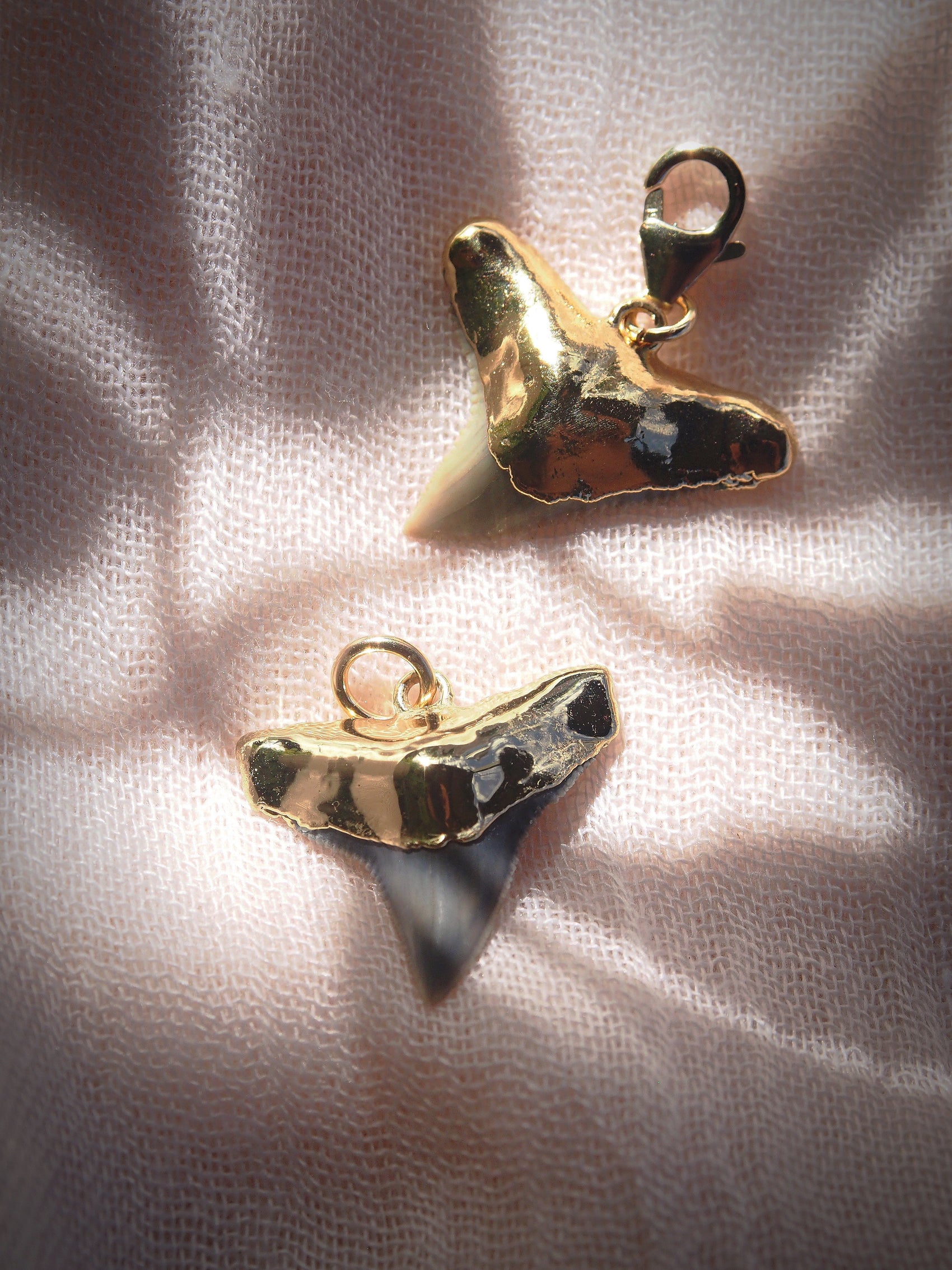 Fossilized Gold Plated Shark Tooth Charm