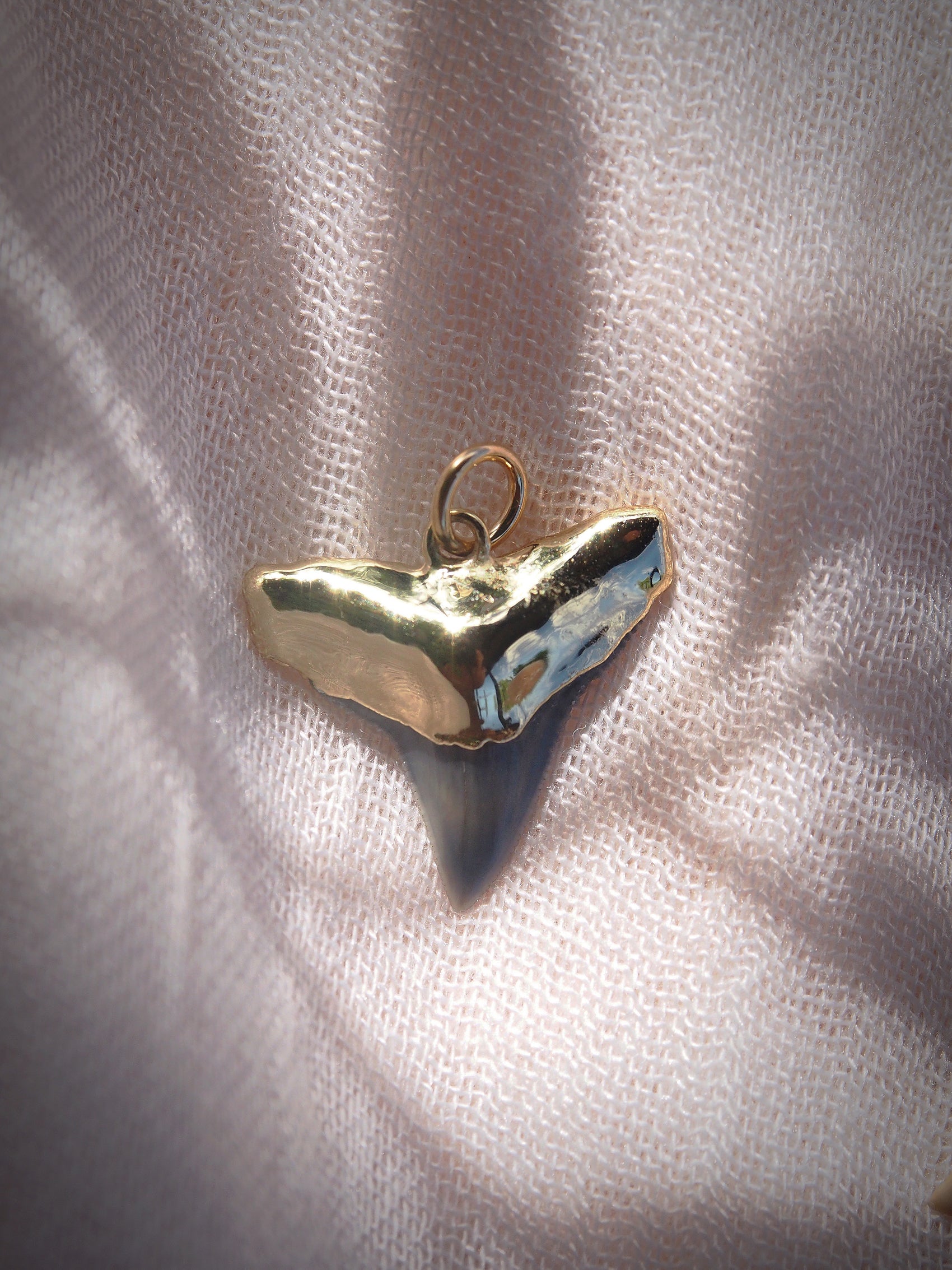 Fossilized Gold Plated Shark Tooth Charm