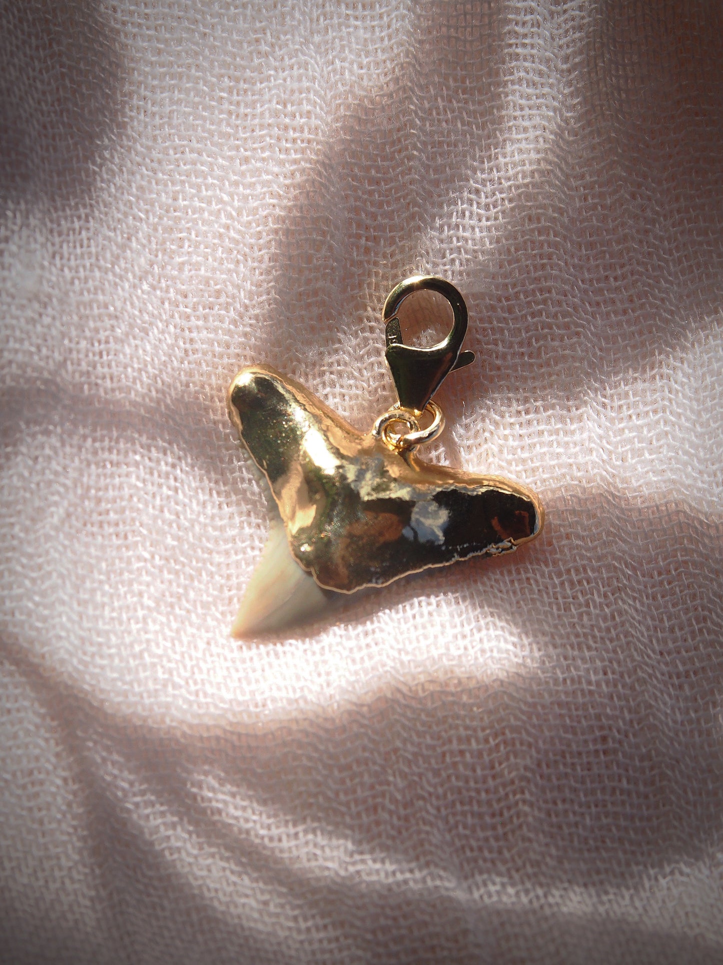Fossilized Gold Plated Shark Tooth Charm