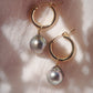 Gold Filled Latch Tahitian Pearl Hoop Earrings - Ahe
