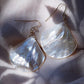 Earrings - Large Shell Earrings - Ainanani - ke aloha jewelry