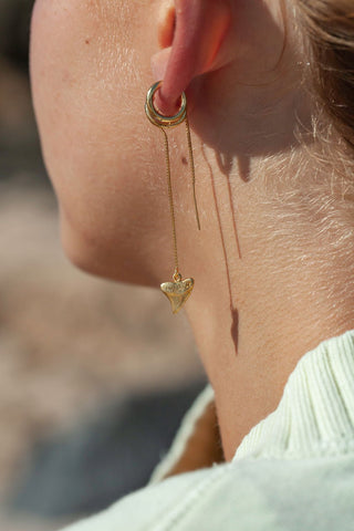 Shark Tooth Threader Earrings - Real Shark Teeth