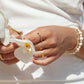 Rings - Thick Gold Flat Band Ring - Haloa - ke aloha jewelry