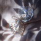 Earrings - X-Large Shell Monstera Earrings - Kaliko - ke aloha jewelry